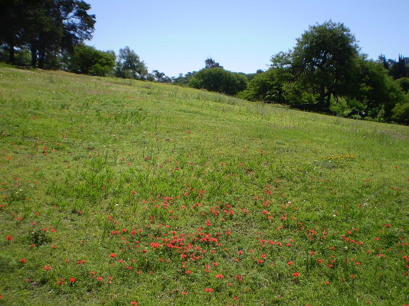 PB160064.JPG