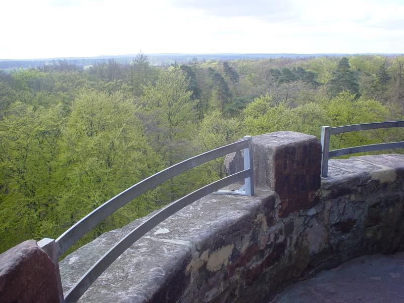 DSC03935 