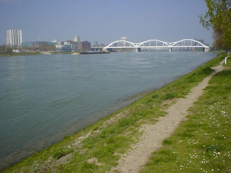DSC03909 