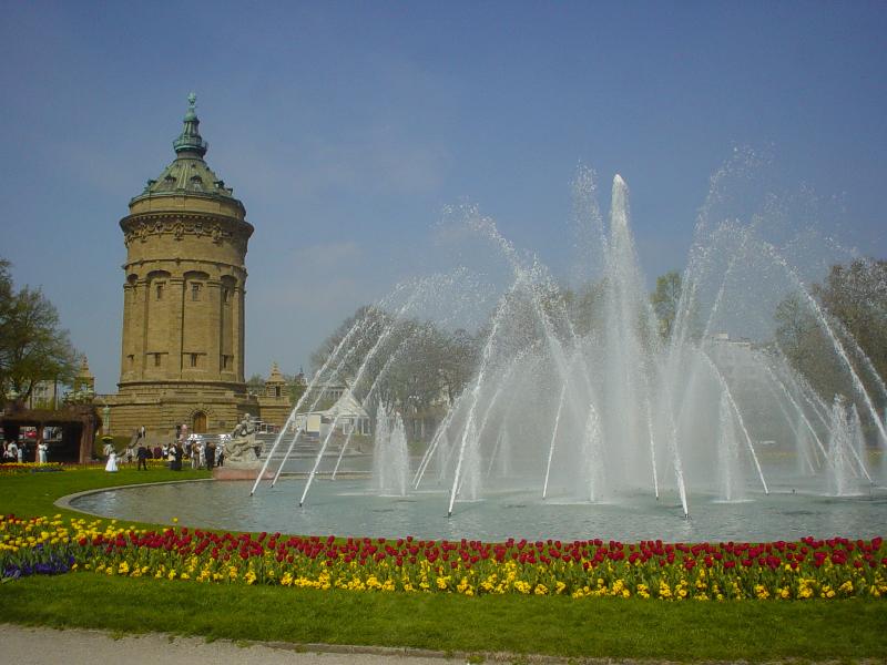 DSC03918 