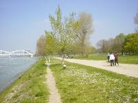 DSC03910 