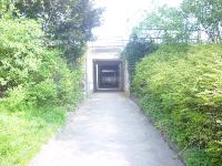 DSC03912 