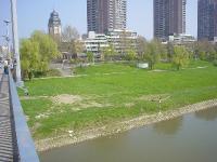 DSC03924 