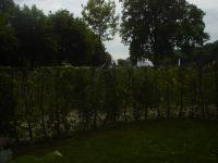DSC04248 
