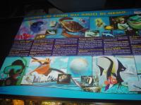 DSC04344 