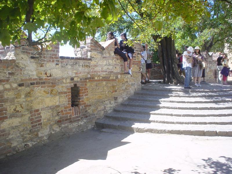 DSC04395 