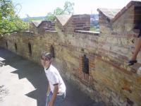 DSC04391 